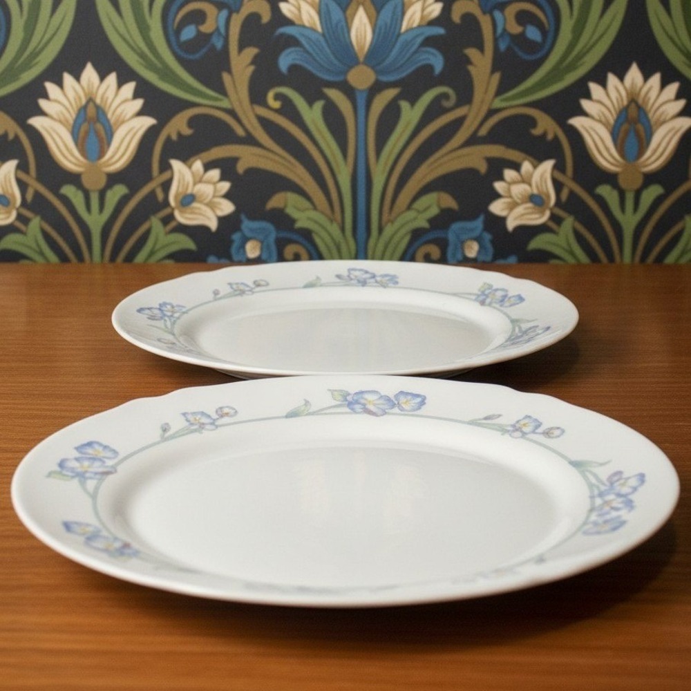 Arcopal France Revelation Dinner Plates, Set of 2, Vintage Opal Glass Tableware